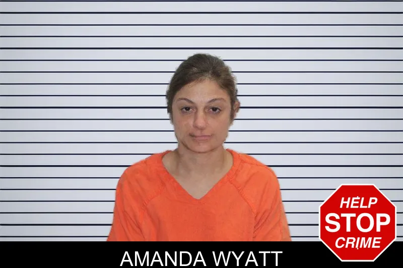 Amanda Wyatt mugshot – Murray County , Georgia Amanda Wyatt mugshot