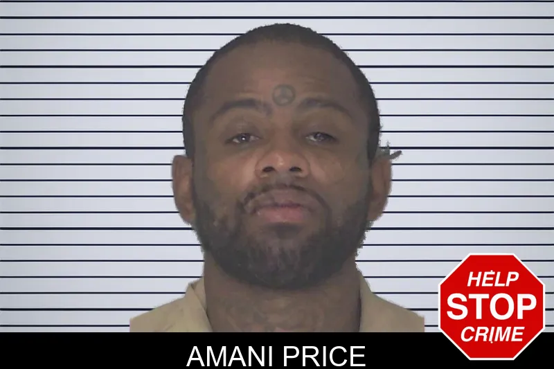 Amani Price mugshot