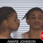 Amare Johnson mugshot