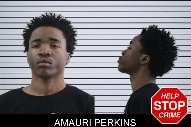 Amauri Perkins mugshot