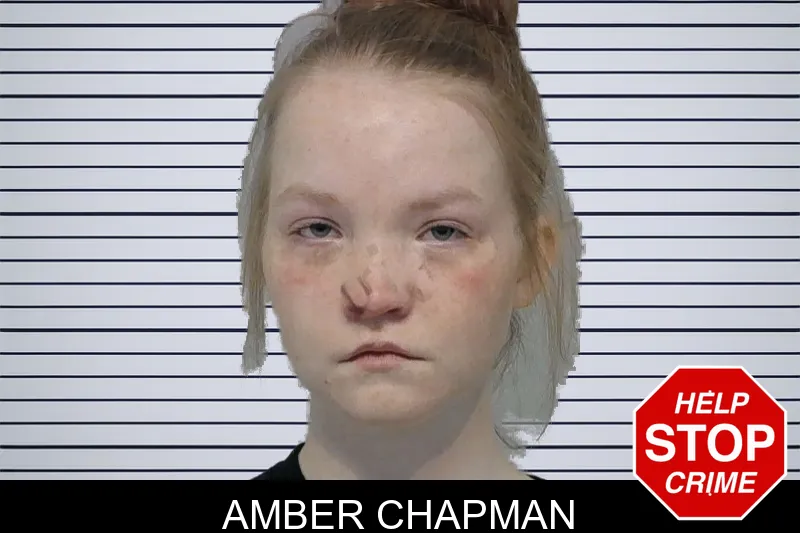 Amber Chapman mugshot