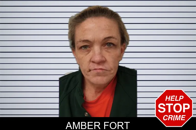 Amber Fort mugshot