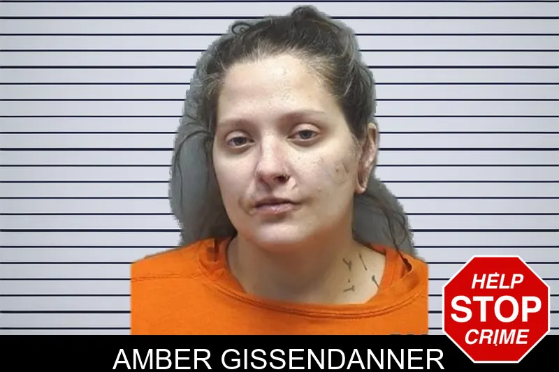 Amber Gissendanner mugshot