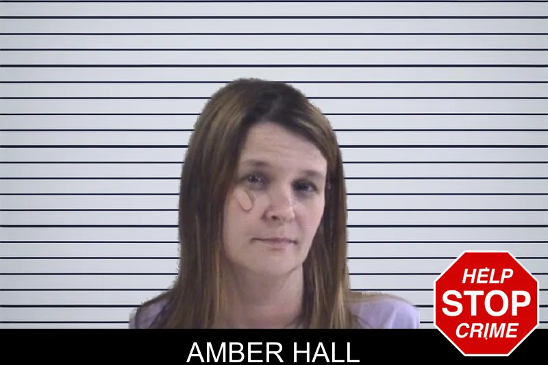 Amber Hall mugshot
