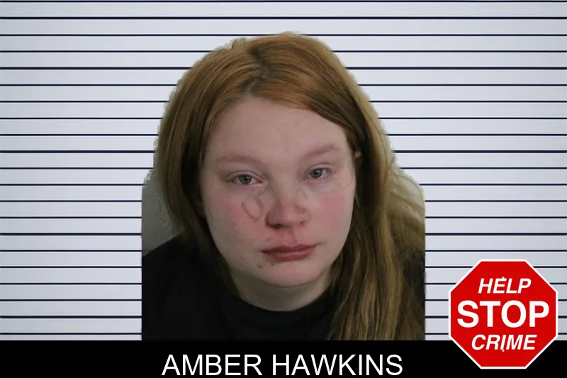 Amber Hawkins mugshot