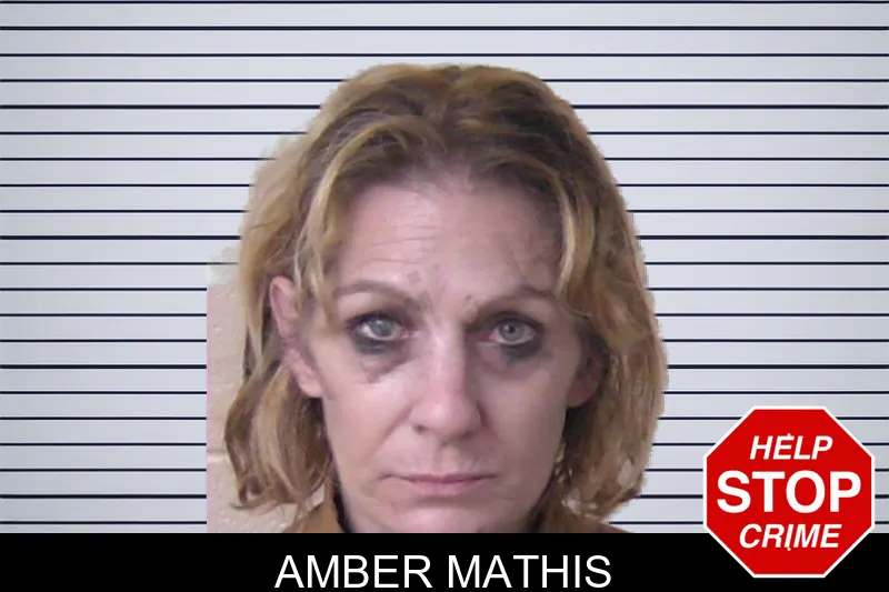 Amber Mathis mugshot – Walker County , Georgia Amber Mathis mugshot