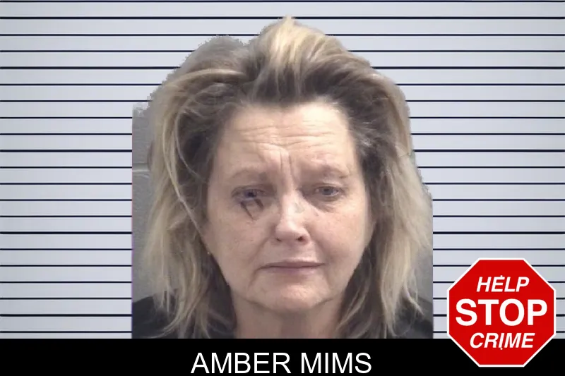 Amber Mims mugshot