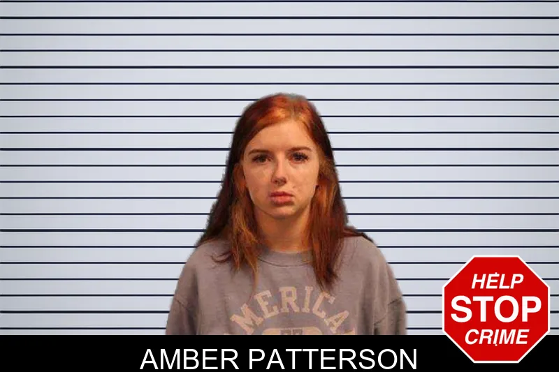 Amber Patterson mugshot