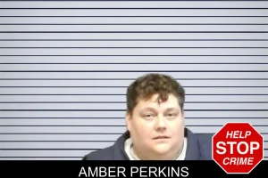 Amber Perkins mugshot
