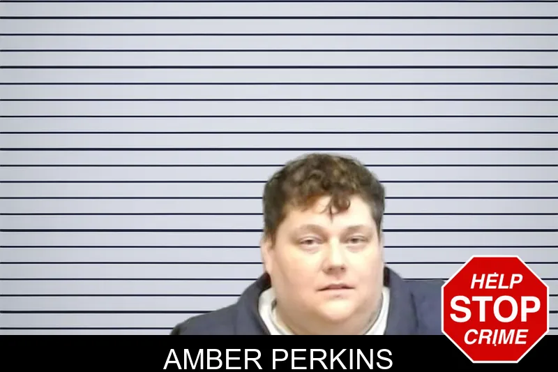 Amber Perkins mugshot
