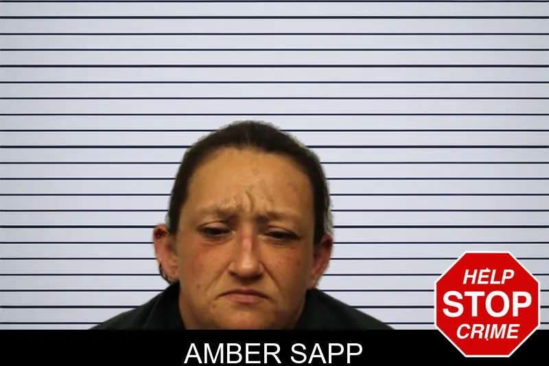 Amber Sapp mugshot
