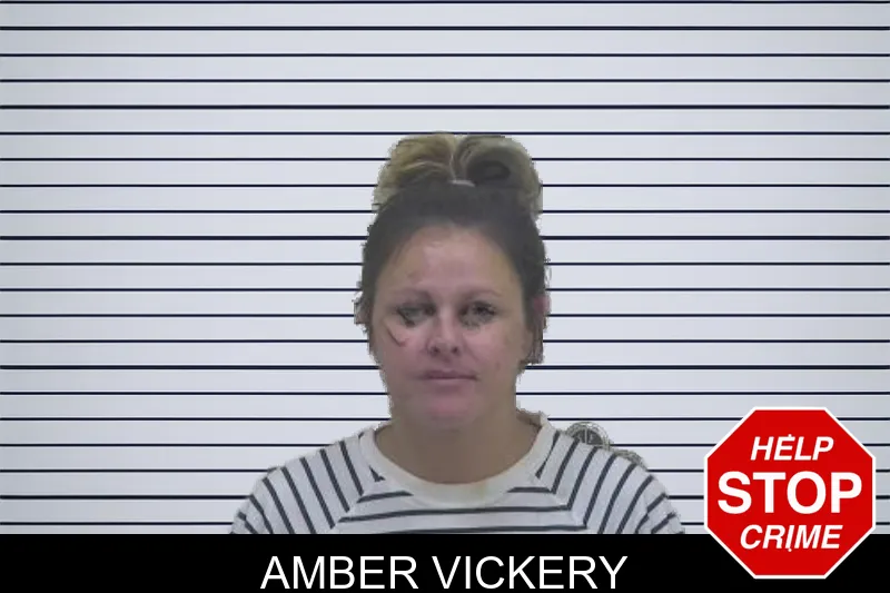 Amber Vickery mugshot – Coffee County , Georgia Amber Vickery mugshot