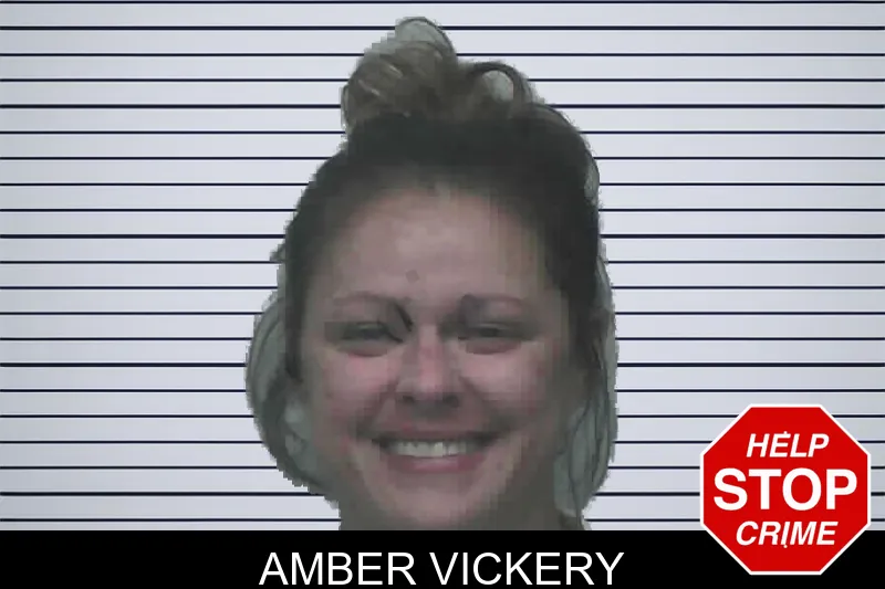 Amber Vickery mugshot – Lanier County , Georgia Amber Vickery mugshot