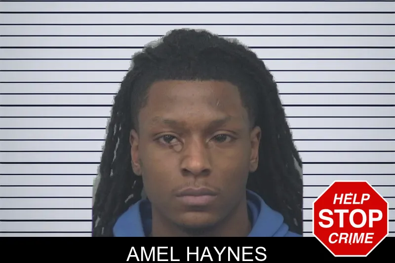 Amel Haynes mugshot