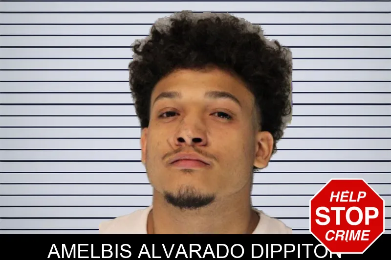 Amelbis Alvarado Dippiton mugshot