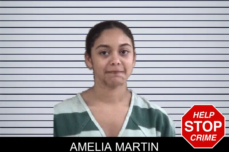 Amelia Martin mugshot