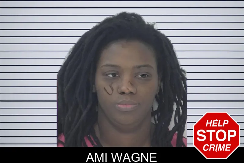 Ami Wagne mugshot