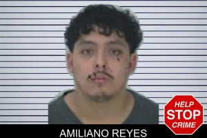 Amiliano Reyes mugshot