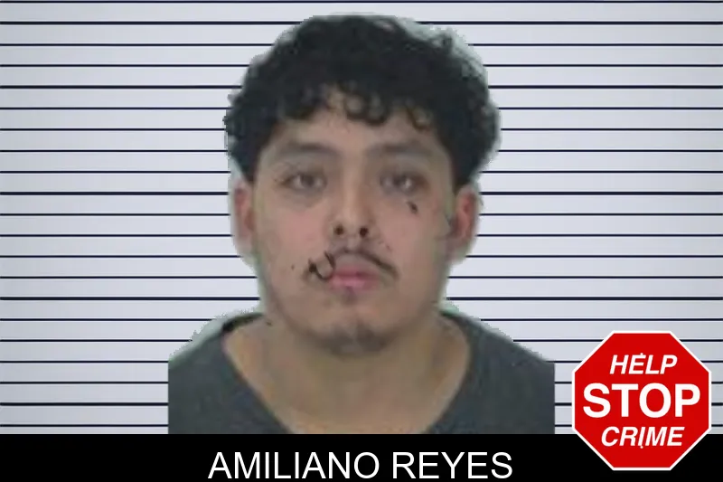 Amiliano Reyes mugshot