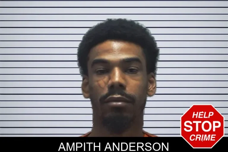 Ampith Anderson mugshot – Cherokee County , Georgia Ampith Anderson