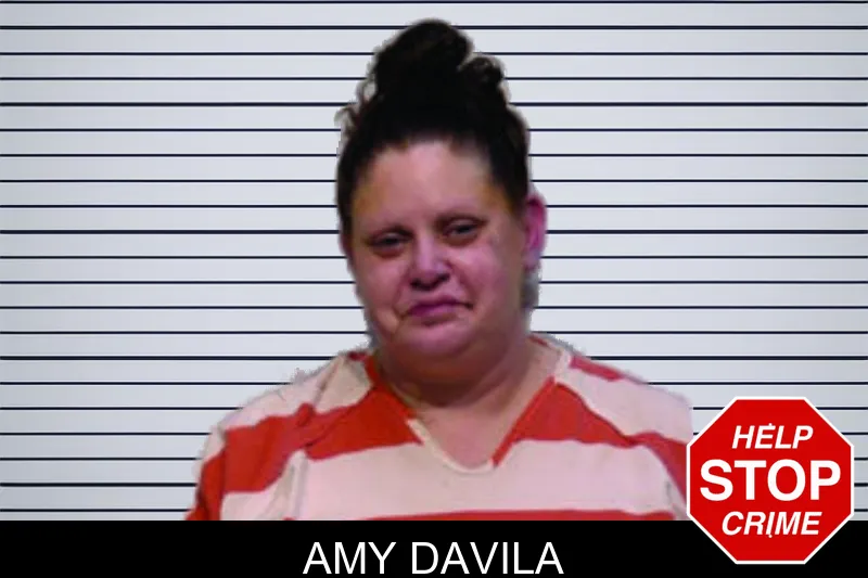 Amy Davila mugshot