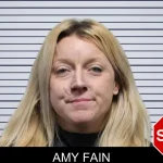 Amy Fain mugshot
