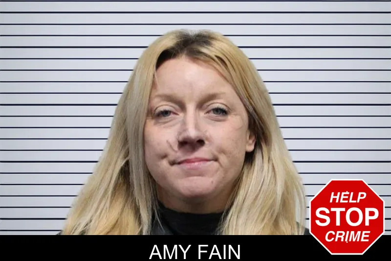 Amy Fain mugshot