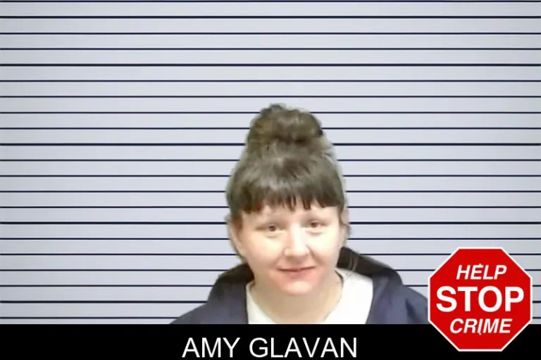 Amy Glavan