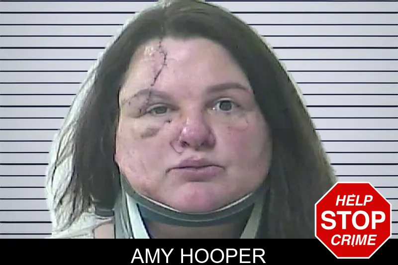 Amy Hooper mugshot – Oconee County , Georgia Amy Hooper mugshot