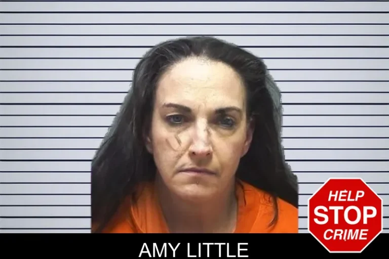 Amy Little