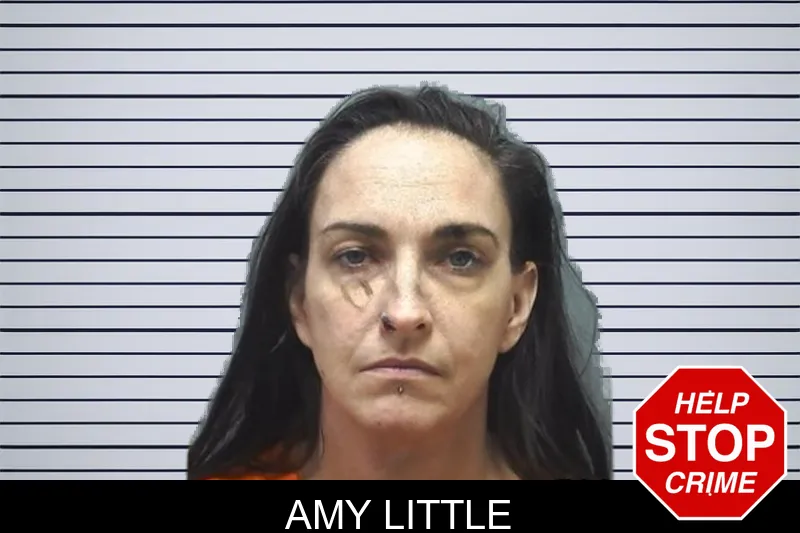 Amy Little mugshot