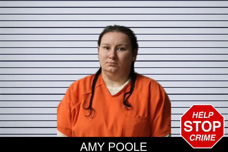 Amy Poole mugshot – Lumpkin County , Georgia Amy Poole mugshot