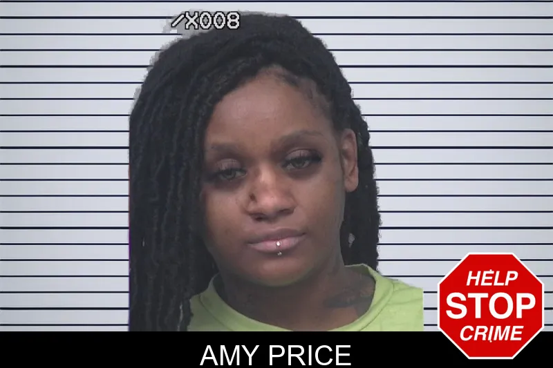 Amy Price mugshot
