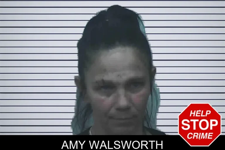 Amy Walsworth mugshot – Lanier County , Georgia Amy Walsworth
