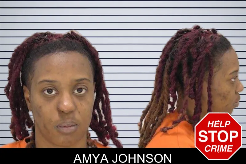 Amya Johnson mugshot – Richmond County , Georgia Amya Johnson mugshot
