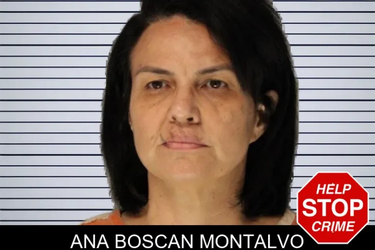 Ana Boscan Montalvo mugshot – Hall County , Georgia Ana Boscan Montalvo