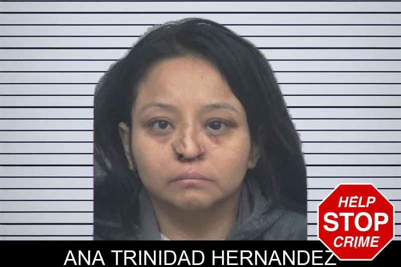 Ana Trinidad Hernandez mugshot