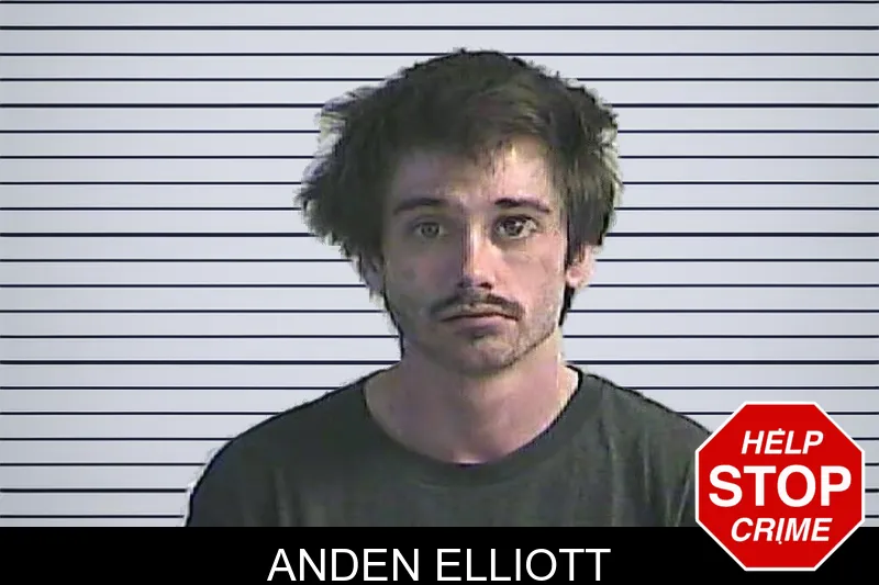 Anden Elliott mugshot
