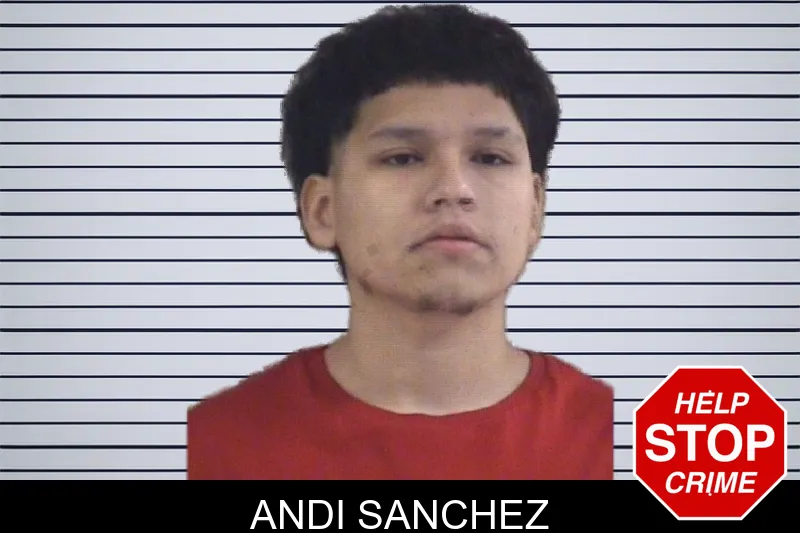 Andi Sanchez mugshot