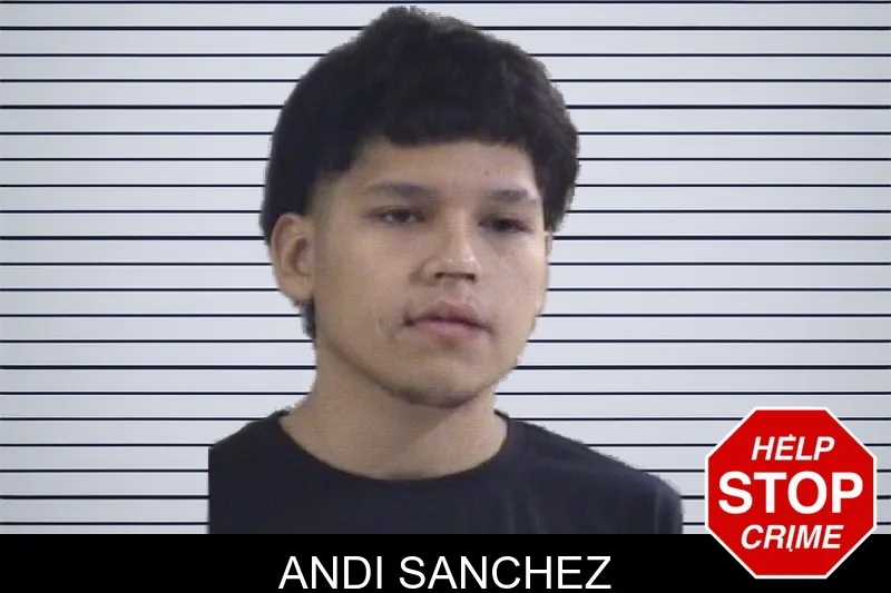 Andi Sanchez mugshot