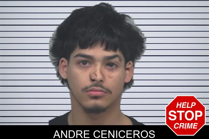 Andre Ceniceros mugshot – Gwinnett County , Georgia Andre Ceniceros mugshot