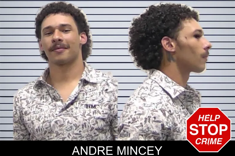 Andre Mincey mugshot