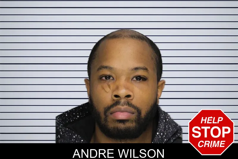 Andre Wilson mugshot