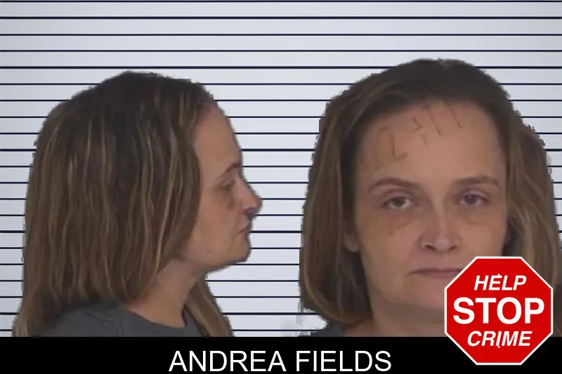 Andrea Fields mugshot