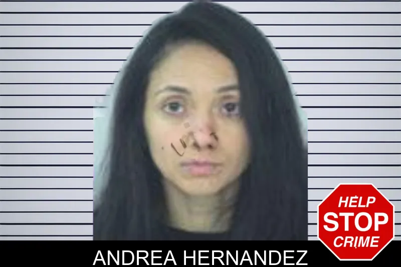 Andrea Hernandez mugshot – Fayette County , Georgia Andrea Hernandez mugshot