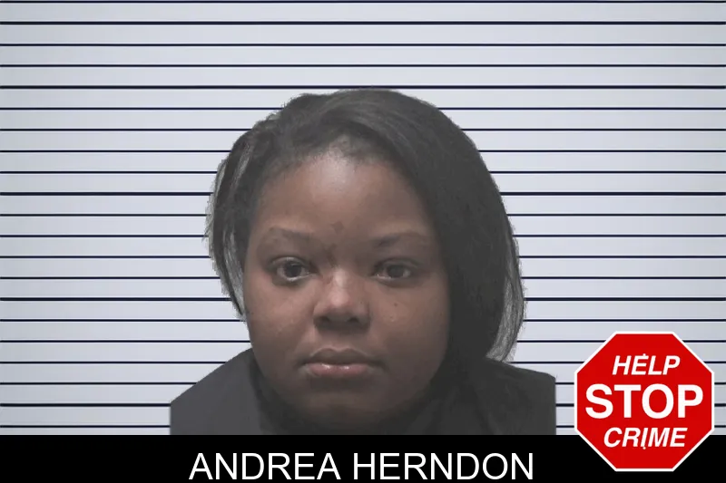 Andrea Herndon mugshot