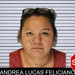 Andrea Lucas Feliciano mugshot
