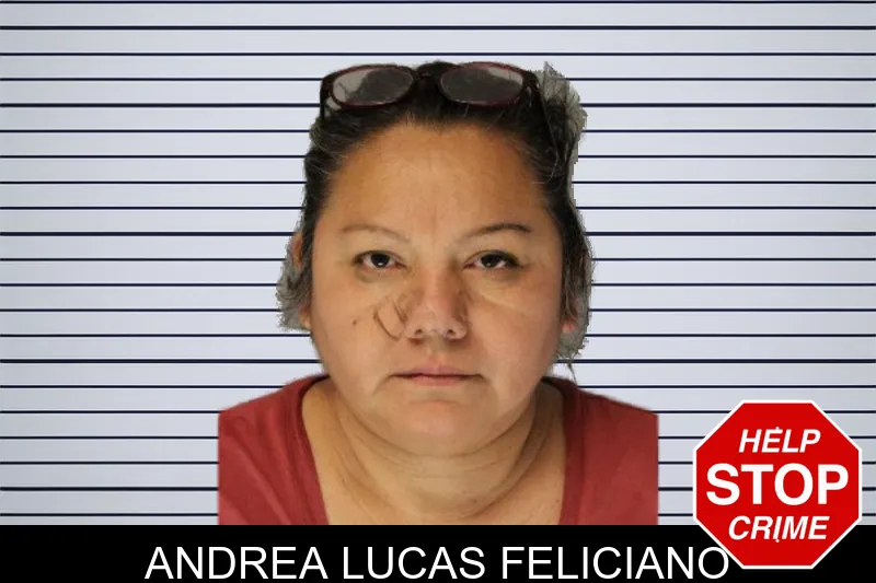 Andrea Lucas Feliciano mugshot