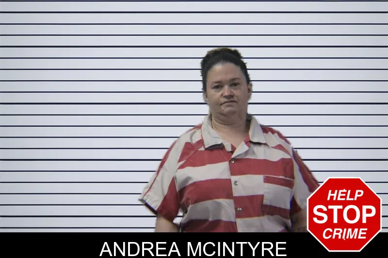 Andrea McIntyre mugshot – Stephens County , Georgia Andrea McIntyre mugshot