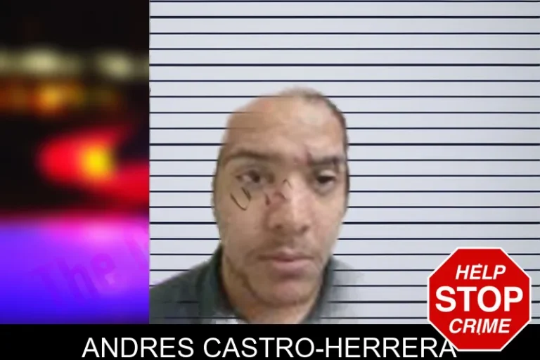 Andres Castro-Herrera mugshot – Henry County , Georgia Andres Castro-Herrera